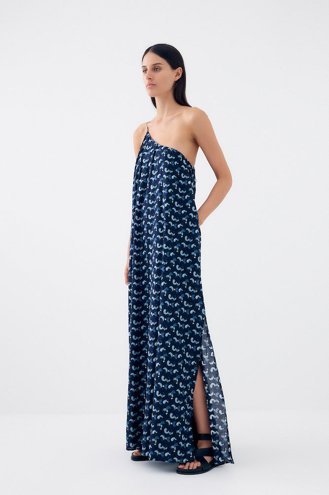 Print One Shoulder Maxi Dress Otto Maxi By Bird & Knoll Sample